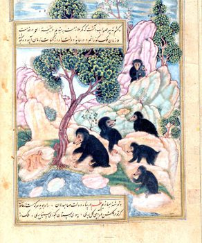 هنر هند در دوران اسلامی